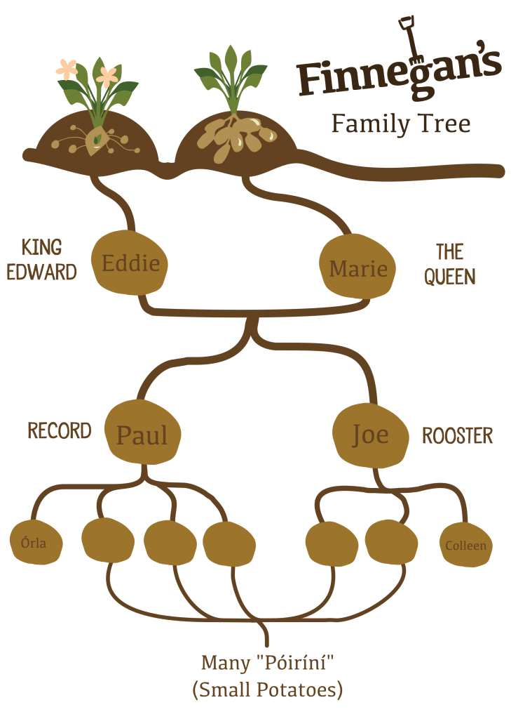 Finnegans Family Tree 1