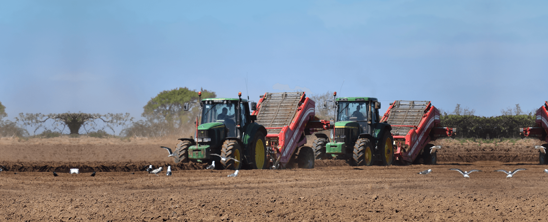 Finnegan's Farm - Potatoe harvesting