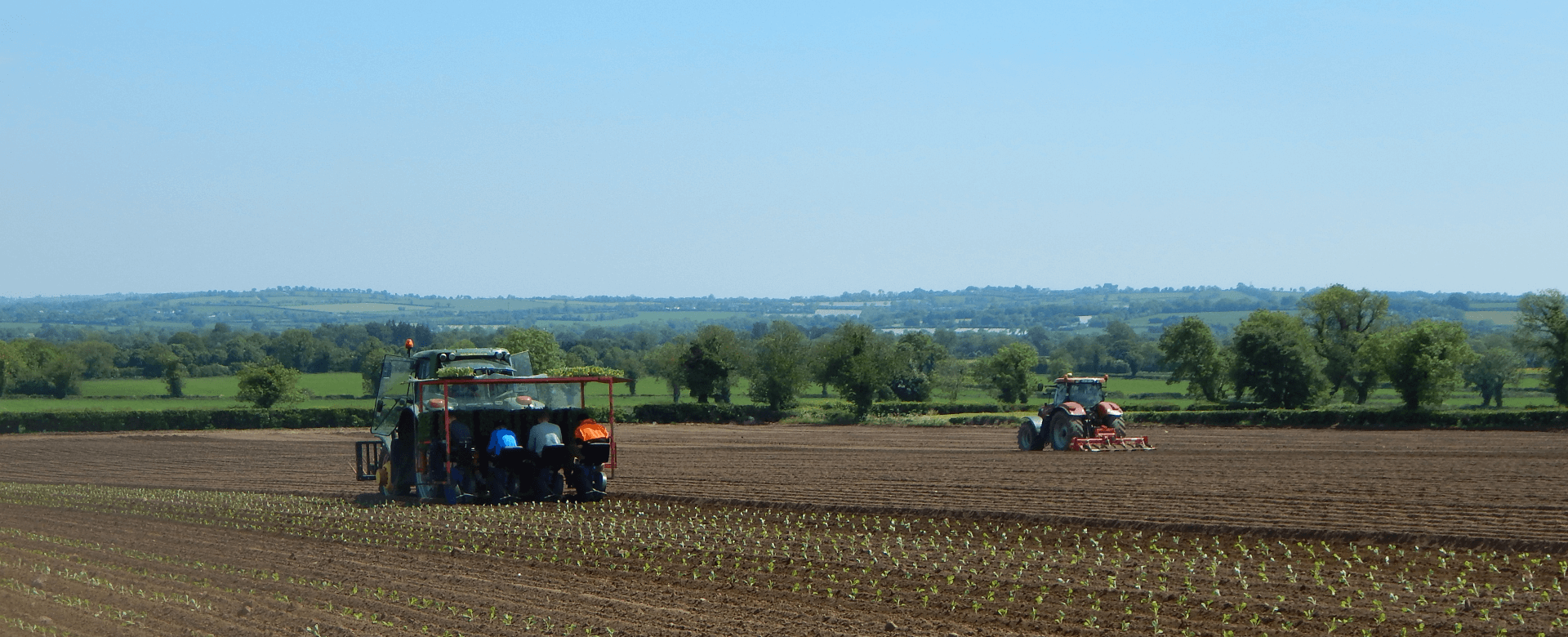 Finnegan's Farm - Planting new potatoes